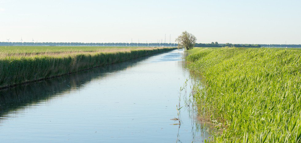 Sloten en gewasvoorspelling in Boer&Bunder