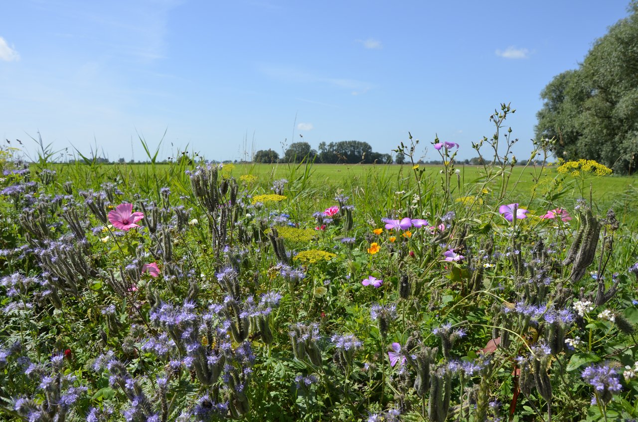 CropX en BoerenNatuur helpen Nederlandse boeren bij het beschermen van biodiversiteit