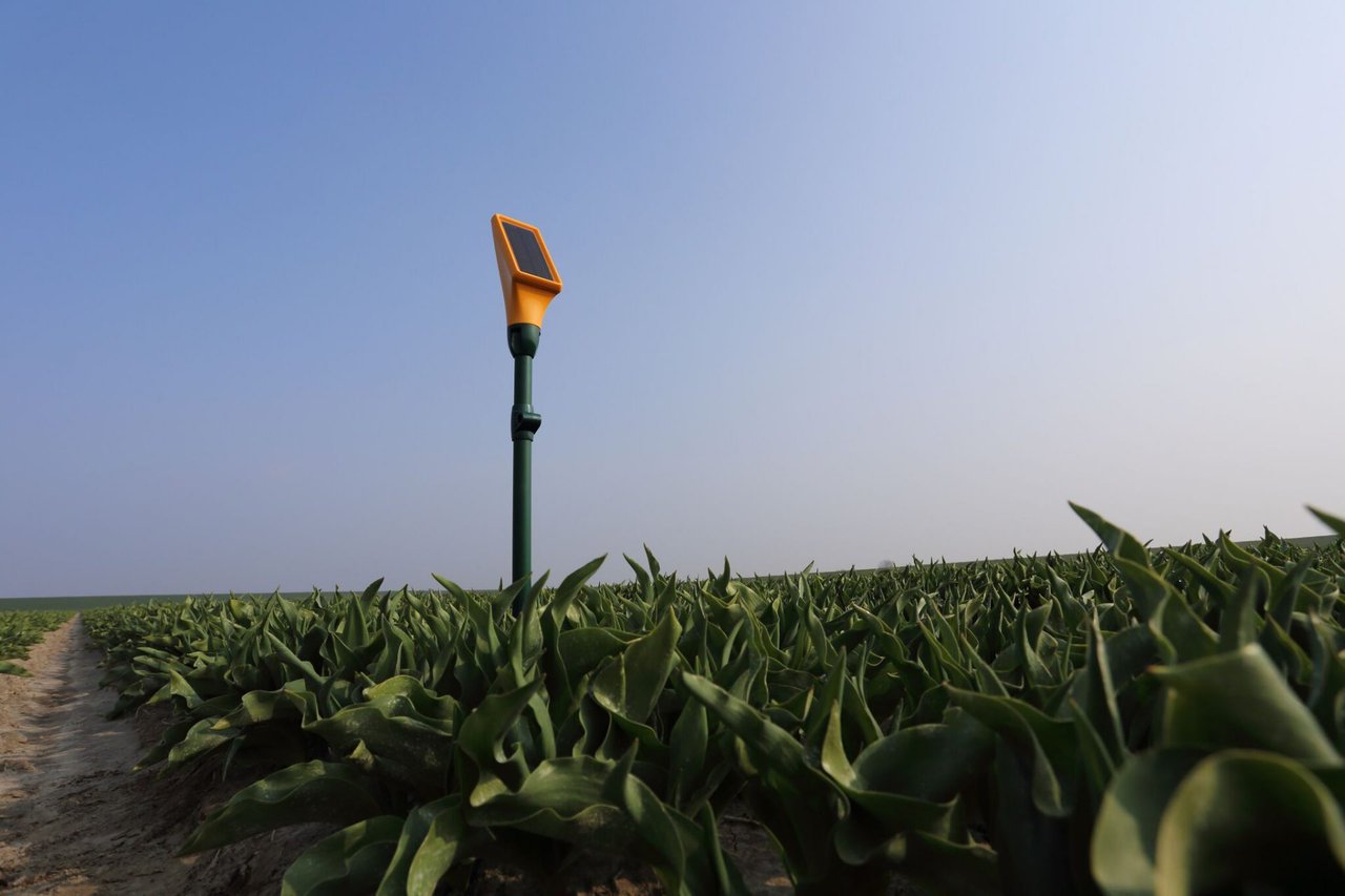 Vernieuwing meteorologische technologie in AgTech